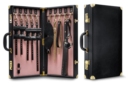 Bondage kit in black briefcase with restraints, blindfold, gag, collar, and accessories for beginner BDSM play