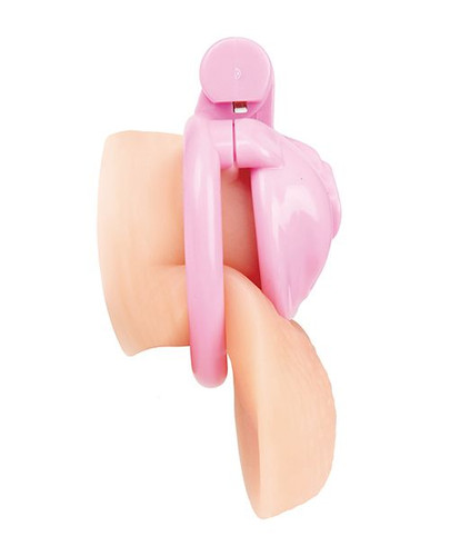 Locking Pussy-Shaped Penis Cage with Flat Design