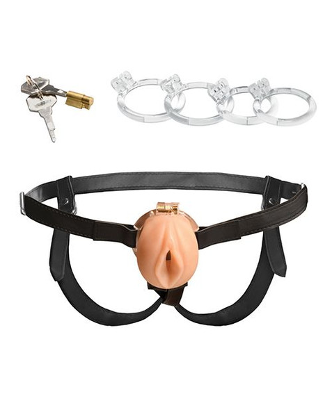 Chastity cage harness set laid out with multiple ring sizes, locking parts, and front cage piece shown together