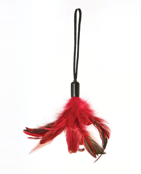 Couple's Pleasure Feather Tickler from Sportsheets