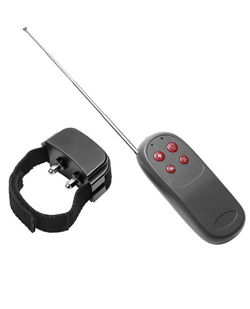 Good Boy™ Remote Control Shock Ring