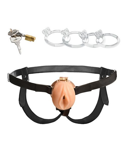 Chastity cage harness set laid out with multiple ring sizes, locking parts, and front cage piece shown together