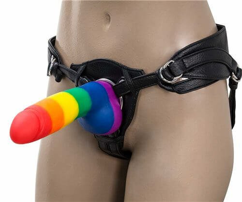 rainbow strap-on dildo