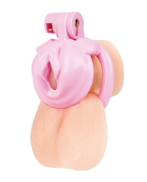 pink pussy chastity cage