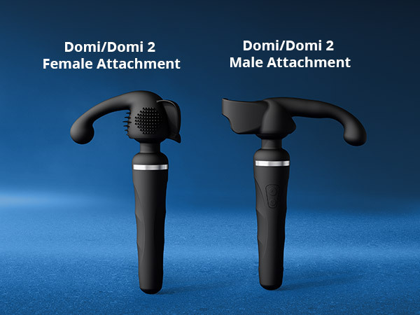 Domi male attachment