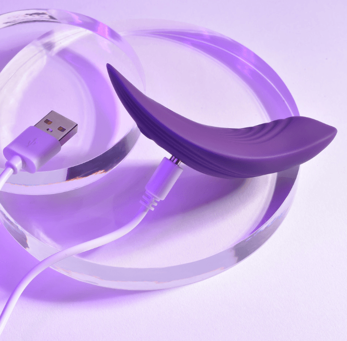 Little Secret Panty Vibe recharging