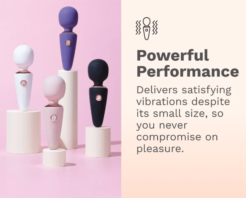 Le Wand Mini Micro Wand