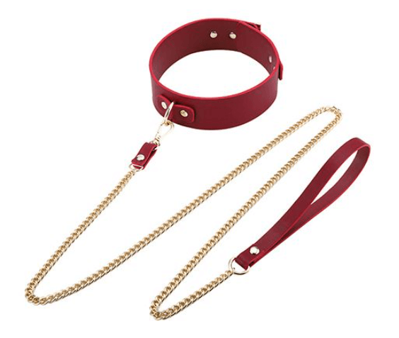red leather leash