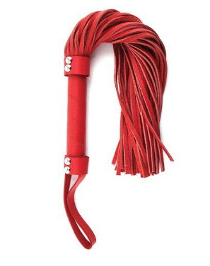 red leather whip