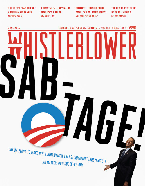 Whistleblower Single Issue - June 2016