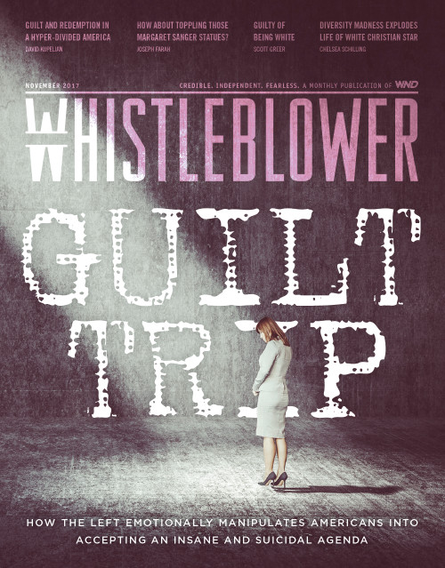 Whistleblower Single Issue - November 2017