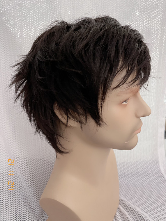 Men wig S1