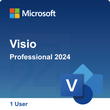 Visio 2024 Professional diagramming software – flowcharts, org charts and network design tools for Windows