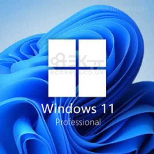 Windows 11 Professional upgrade graphic
