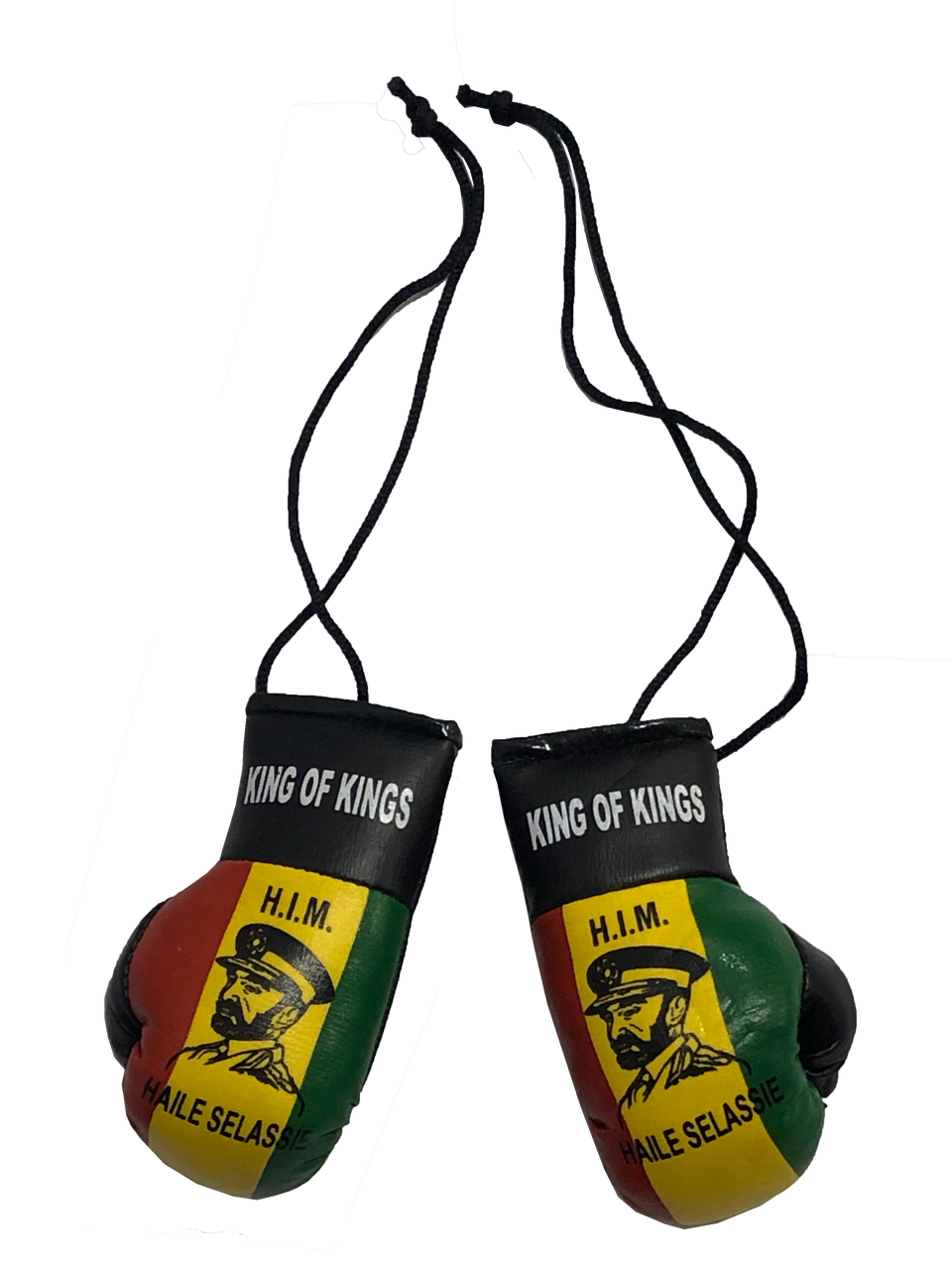 Download JAMAICAN LION OF JUDAH MINI BOXING GLOVES Boxing ...