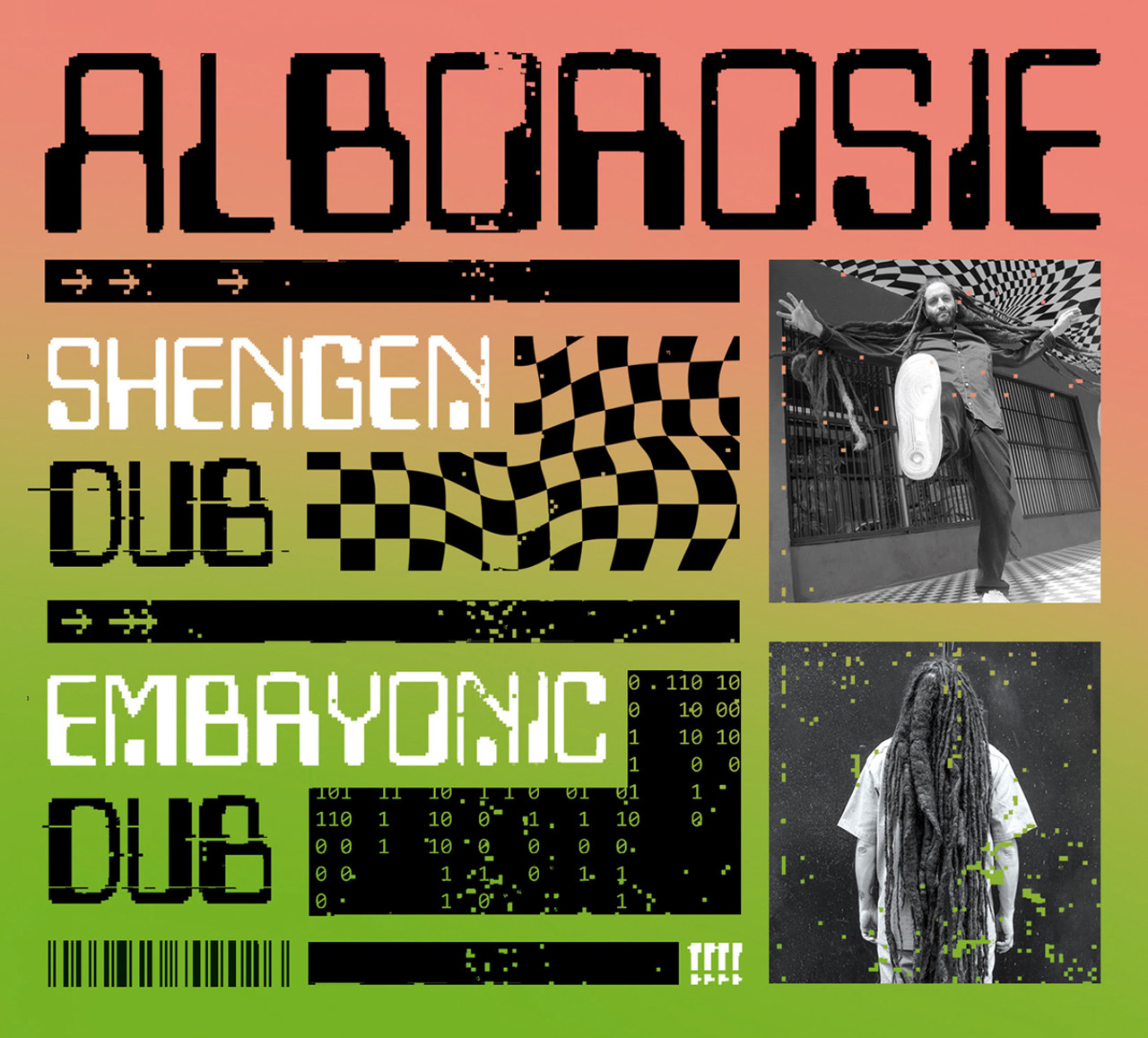 Shengen Dub/Embryonic Dub - Alborosie - VP Reggae