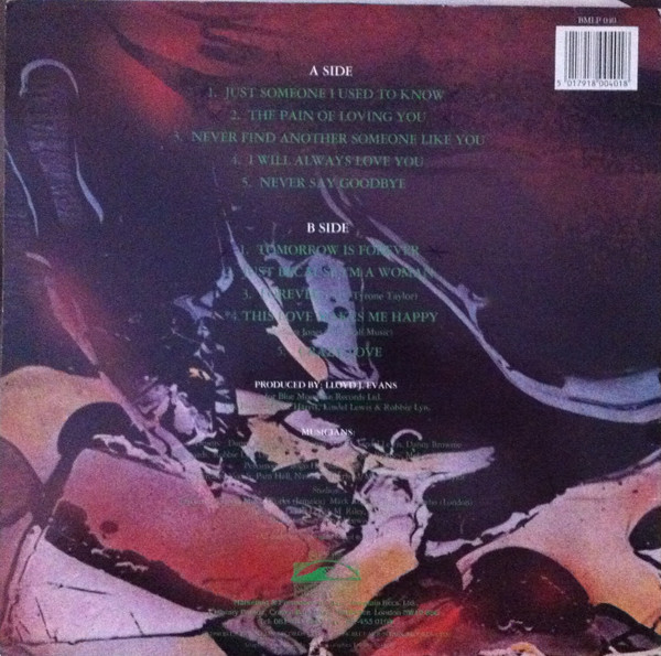 バーバラ・ジョーンズ Will It Last Forever Barbara Jones - Will It Last Forever - 12” Vinyl Lp - Hit Label
