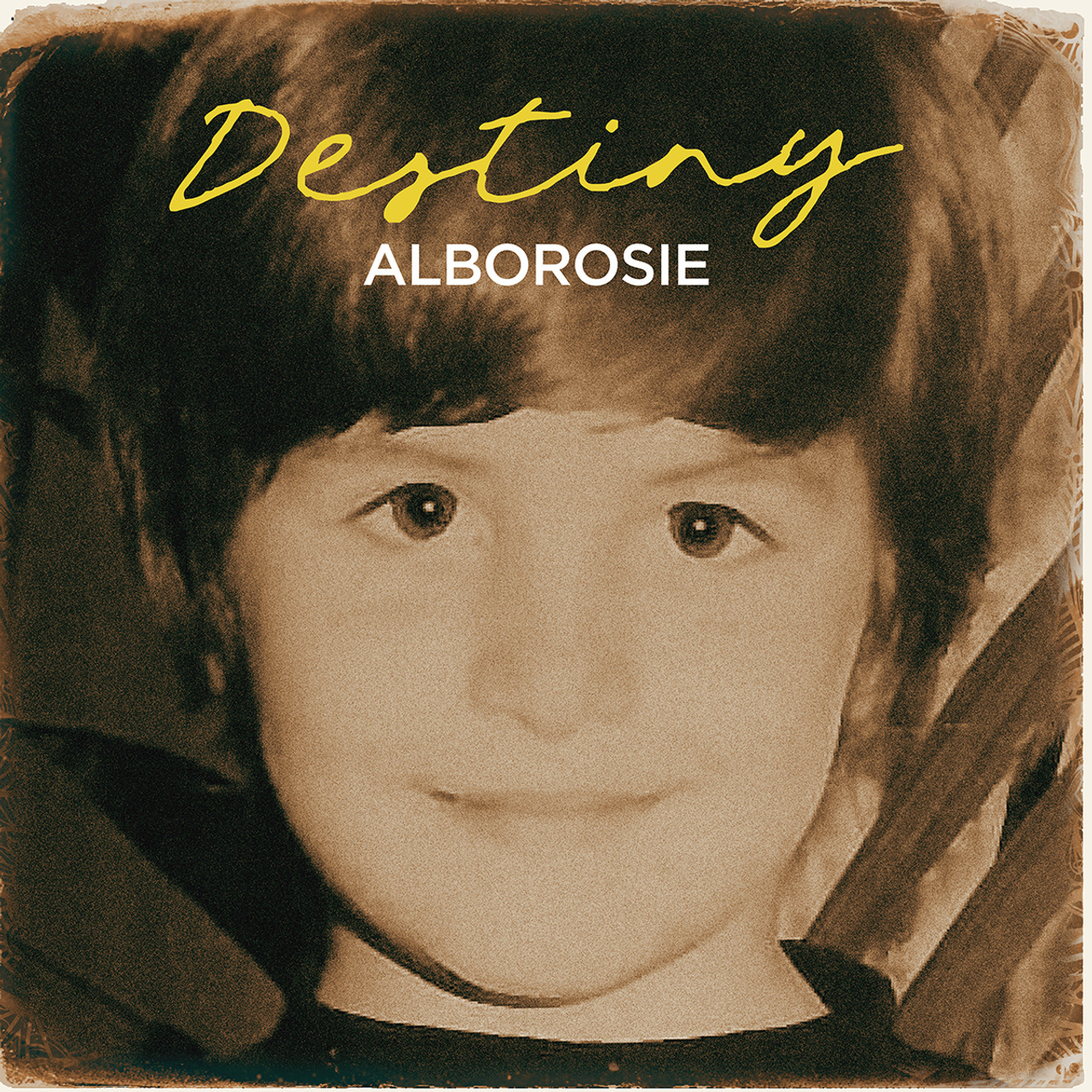 米LP Alborosie Destiny VPGSRL7094 VP US /00220 Destiny - Alborosie (LP) - VP Reggae