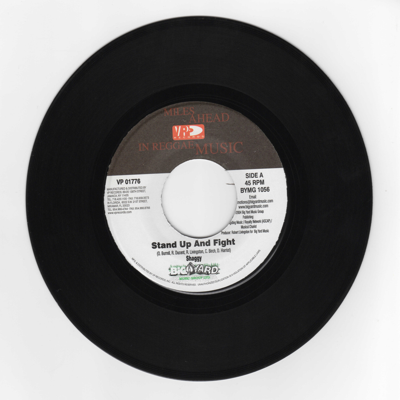 Stand Up And Fight - Shaggy (7 Inch Vinyl)