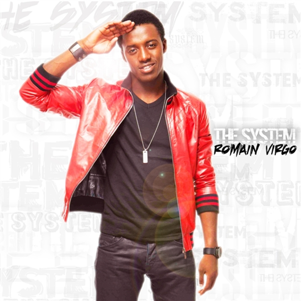 THE SYSTEM / ROMAIN VIRGO