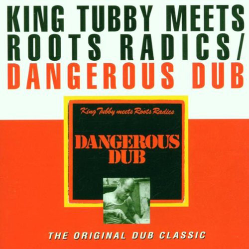 Alborosie Meets Roots Radics - Dub For The Radic - Alborosie