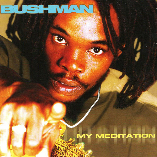 My Meditation - Bushman (LP)
