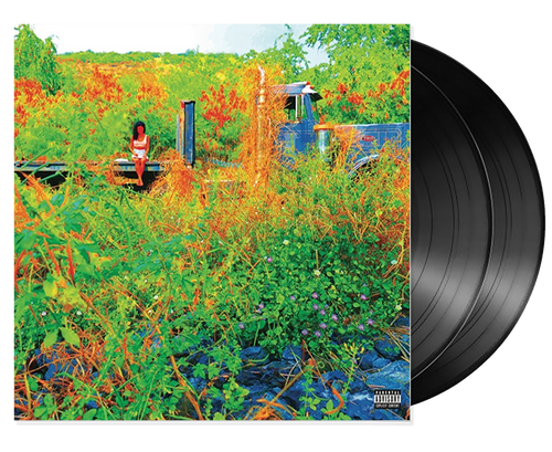 Trip (Picture Disc) - Jhene Aiko (2LP)