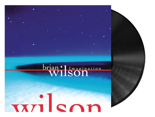 Imagination - Brian Wilson (LP)