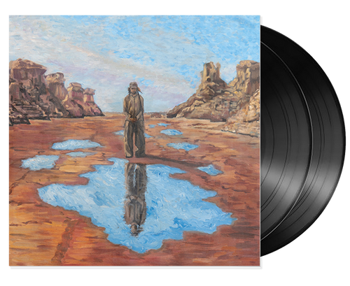 The Art Of Acceptance - Protoje (2LP)