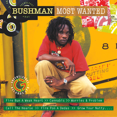 HIGHER GROUND / BUSHMAN