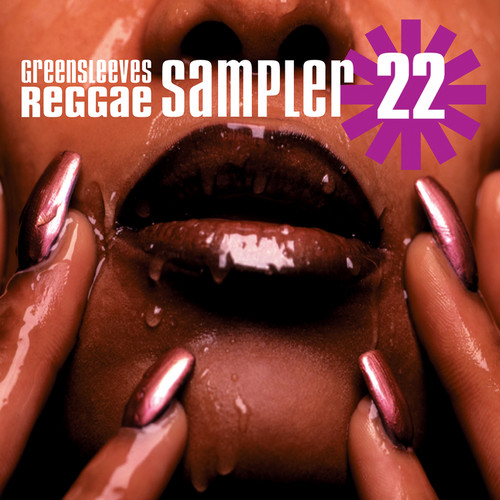 Reggae Sampler 22  /  Various Artists