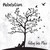 Falling Into Place  - Rebelution (LP)