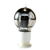 New Products for 2021