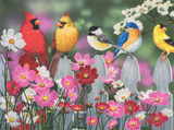 Songbirds and Cosmos Puzzle - 500pc