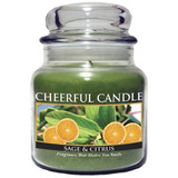 Jar Candle - 16 oz Sage & Citrus