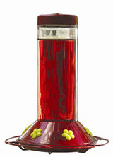 Hummingbird Feeder - 30 oz