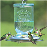 Mason Jar Glass Hummingbird Feeder - Blue, 32 oz