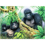 Royal Brush Mountain Gorillas Paint-by-Number Kit