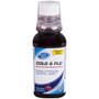 Premier Value Night-time  Multi-Symptom Cold/Flu Liquid, Cherry- 8oz