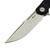 Reate Remedy FatCarbon Glass Black Liner Lock Flipper 3.7" Belt Satin D/P