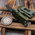 Microtech Exocet II OD Green 1157-10APOD 2.31" D/E Apocalyptic OTF Money Clip