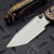 Microtech LUDT Ram-Lok Manual Flamed Slab Side Titanium 3.4" Tanto Stonewash M390MK Bronze Ti Accent Marfione Select 1136RLS-10MS3