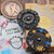 HiTex Gear Joey Feldman Scorpio Titanium Chip