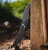 Pro-Tech Knives Tactical Response 4 Black Feather Texture 4" DLC MagnaMax T4106