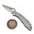 Spyderco Delica 4 Stainless 2.56" S/E C11P by EDC Lifestyle