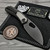 Poikilo VK Crab S3 DLC Titanium w/Crystal Ti 3.3" D/P DLC