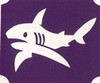 Tiger Shark - 3 Layer Stencil