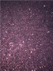 1/4# Plum Cosmetic Glitter