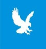 Eagle Vinyl Stencil