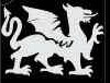 China Dragon - 3 Layer Stencil